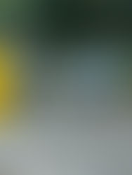 Pronostican más lluvias para Chiapas 