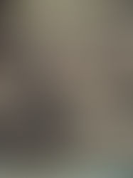 Ganaderos de la frontera de México resienten el bloqueo de EUA por el gusano barrenador