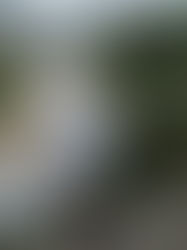 Frente Frío 16 trae lluvias intensas, descenso térmico y fuertes vientos