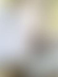 Inaugura Rutilio Escandón rehabilitación de la Calle Central en Tuxtla Gutiérrez