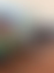 Desde Amatenango del Valle, arranca Rutilio Escandón entrega de estufas ecológicas