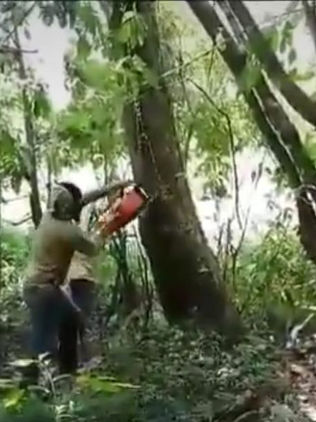 Pobladores acuerdan bloquear el paso al grupo criminal El Machete en Pantelhó