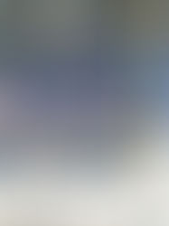 Compiten en Curso Largo