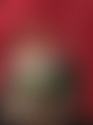 Hoy las mujeres conducen el destino de México: Claudia Sheinbaum