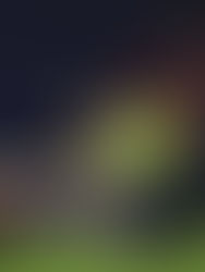 Bajas para duelo ante Pumas