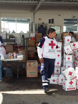 México propone que Cruz Roja entregue ayuda humanitaria a Venezuela