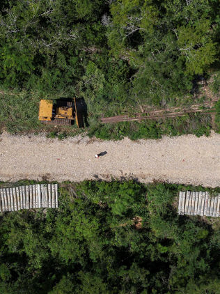 Tren Maya es “transparente”, dice Fonatur