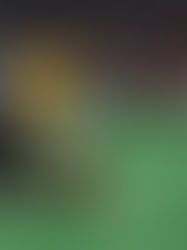 Tigres a remontar ante Saprissa