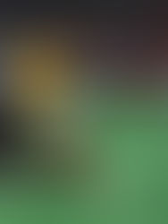 Tigres a remontar ante Saprissa