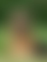 Fallece el primer perro diagnosticado con COVID-19 en EU