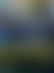 El régimen de excepción no es solución a las maras en El Salvador, según sondeo