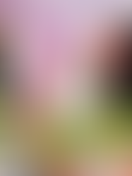 La Galería: Astrid Breiter