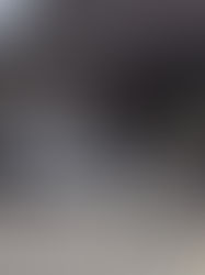 Señala que 5 personas participaron en crimen de presidenta municipal en Oaxaca