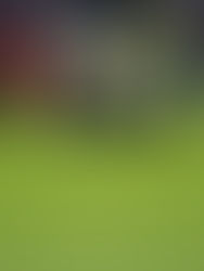 Acceden a publicar audios