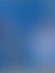 Asciende a 16 la cifra de muertos tras motín en una cárcel de Ecuador