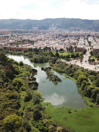 Crisis pandémica puede ayudar a la emergencia climática