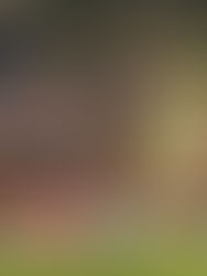 Pretenden ampliar capacidad