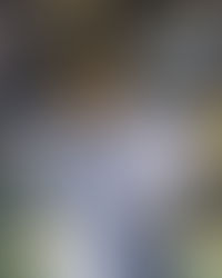 Tabó iría a Cruz Azul