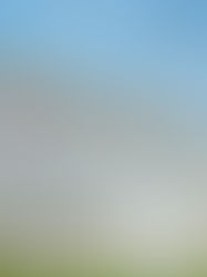 Muere un mexicano detenido por ICE