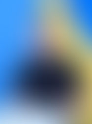 Zelenski celebra que EU permita a Ucrania usar sus armas 