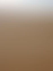 Los científicos arrojan luz sobre el misterioso origen de los "círculos de hadas"