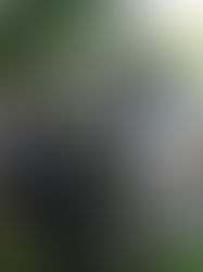 Mueren tres marinos en desplome de helicóptero en Tabasco