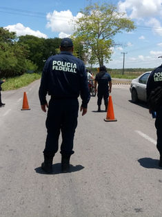 Pese gasto millonario en PF, número de homicidios se disparó