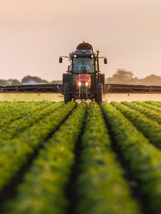 Residuos de petróleo presentes en pesticidas son 8.288 veces más tóxicos