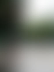 Se reactivan lluvias en Chiapas por nueva onda tropical