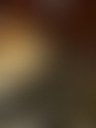 Senado aprueba reforma para que el Estado retome control de vías férreas 