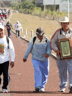 Conductor atropella a peregrinos y deja al menos ocho heridos