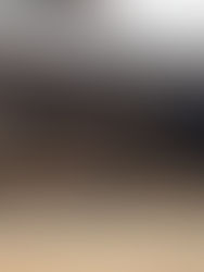 Preocupa “contrabando hormiga” de madera