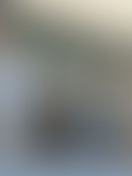 EUA desmoviliza a 2.000 soldados de la Guardia Nacional desplegados en Los Ángeles