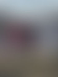 Violencia permea en comunidades indígenas de Chiapas