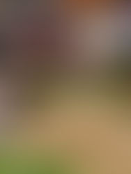 La inflación de México baja al 5,06 % en junio, su menor nivel desde marzo de 2021