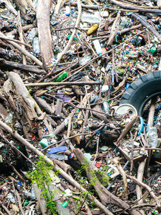 Fumigación debe ser último recurso contra el dengue