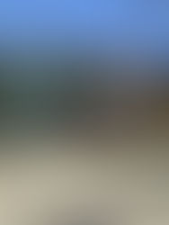 Casa en barrio de Tijuana fue pantalla para un narcotúnel México-EU