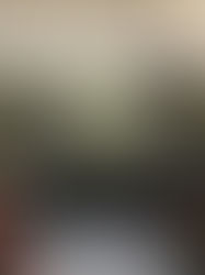 América Latina une fuerzas en México para una acción climática regional hacia la COP30