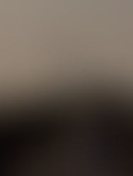 La población de Alemania se estanca en 2020 por primera vez desde 2011