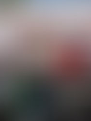 Sheinbaum señala que la oposición está muy minimizada