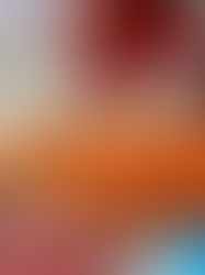 Inicia veda del camarón en el país, costas de Chiapas están incluidas 