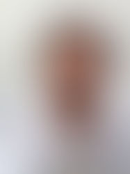 Autoridades generan empleos, pese a situación adversa en la entidad