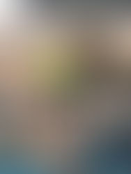 América Latina supera los 80,000 muertos por covid-19, mientras Europa abre sus fronteras