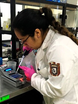 Mexicanos buscan prevenir cáncer gástrico a través de análisis de bacteria