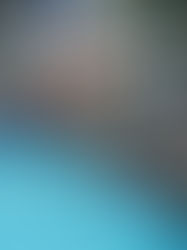 Buscarán medallas 15 nadadores