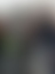 Mexicanos reciben a Sheinbaum en Canadá