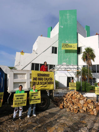 Greenpeace exige pruebas sobre prohibición para extraer mineral pétreo en Tulum