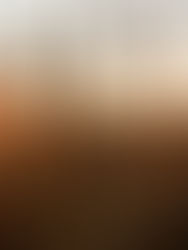 Rusia suspende el acuerdo de exportación de grano a través del mar Negro