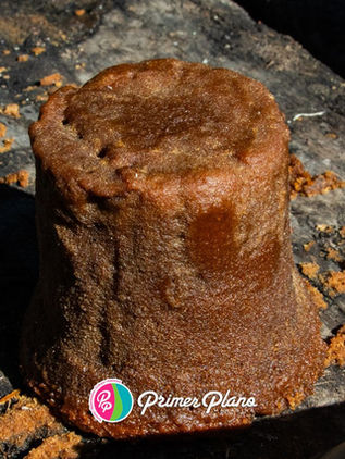 Una dulce y rica historia: la panela en Tzimol