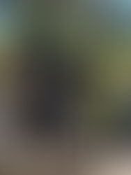 Haitiano se ahoga en río Bravo al tratar de cruzar a EU